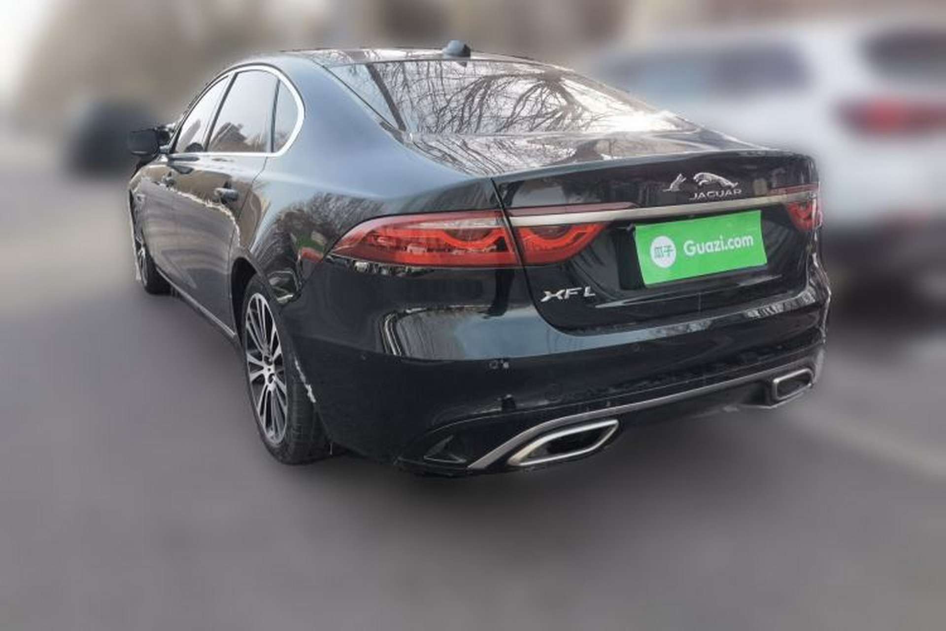 Used Jaguar XFL 2022 XFL 2.0T P250 Two-Wheel-Drive Prestige Luxury Edition Rear Left 45 Deg