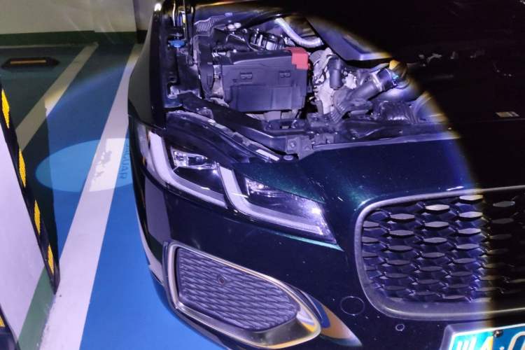 Used Jaguar XFL 2022 XFL 2.0T P250 Two-Wheel-Drive Prestige Luxury Edition Right Front Headlight