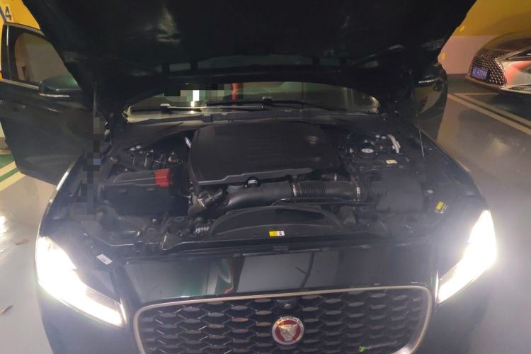 Used Jaguar XFL 2022 XFL 2.0T P250 Two-Wheel-Drive Elite Sport Edition Engine Bay