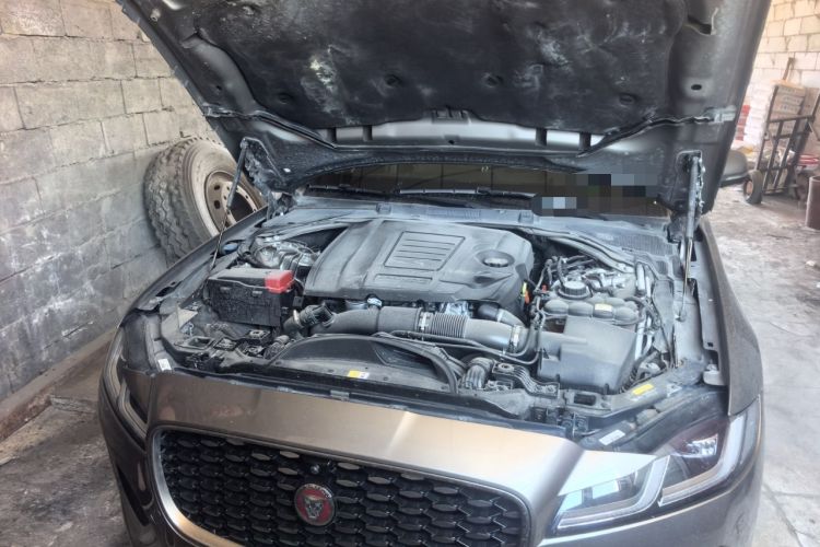 Used Jaguar XFL 2022 XFL 2.0T P250 Two-Wheel-Drive Prestige Luxury Edition Engine Bay