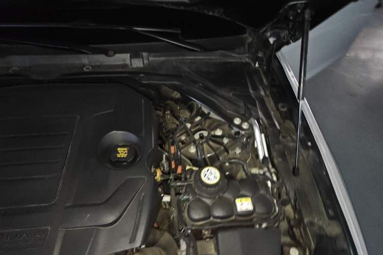 Used Jaguar XFL 2022 XFL 2.0T P250 Two-Wheel-Drive Elite Sport Edition Engine Bay Left