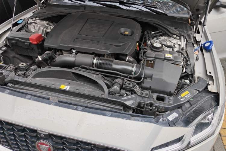 Used Jaguar XFL 2022 XFL 2.0T P250 Two-Wheel-Drive Prestige Luxury Edition Engine Bay Left