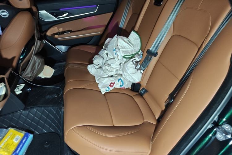 Used Jaguar XFL 2022 XFL 2.0T P250 Two-Wheel-Drive Elite Sport Edition Left Rear Seat
