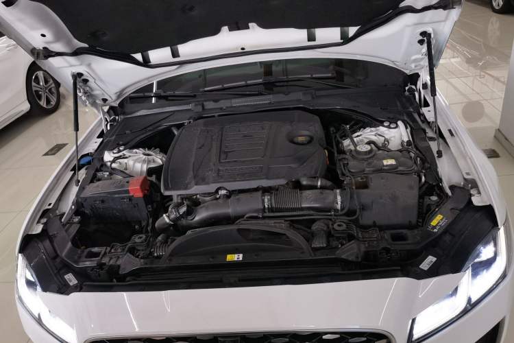 Used Jaguar XFL 2022 XFL 2.0T P200 Two-Wheel-Drive Elite Luxury Edition Engine Bay