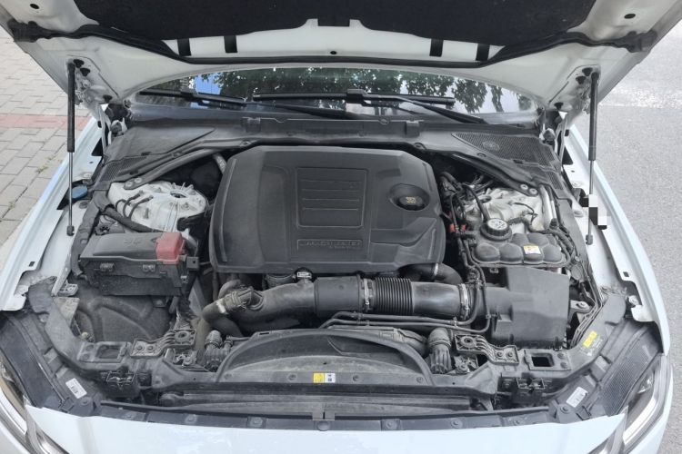 Used Jaguar XFL 2022 XFL 2.0T P250 Two-Wheel-Drive Prestige Luxury Edition Engine Bay