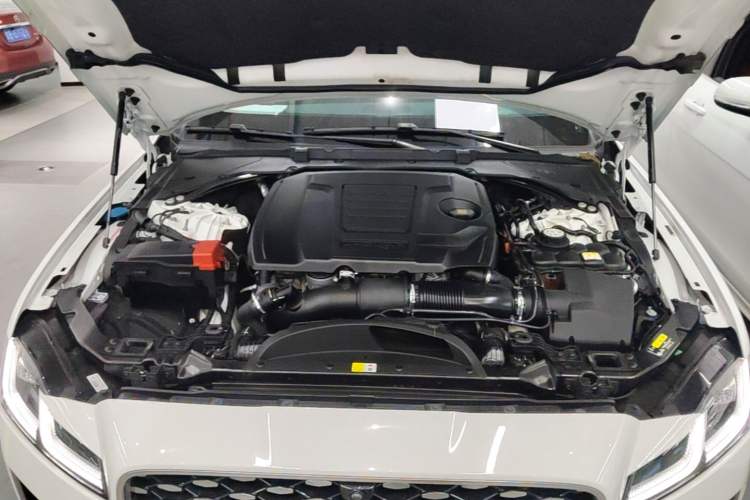 Used Jaguar XFL 2022 XFL 2.0T P200 Two-Wheel-Drive Elite Luxury Edition Engine Bay