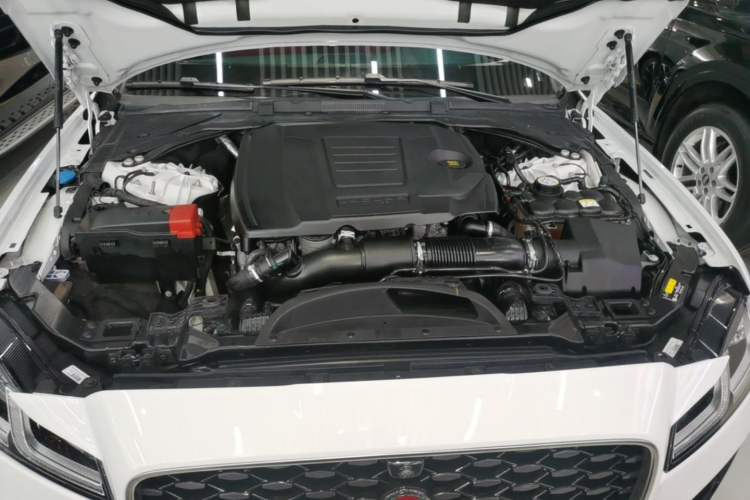 Used Jaguar XFL 2022 XFL 2.0T P250 Two-Wheel-Drive Elite Sport Edition Engine Bay