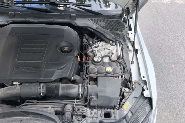 Used Jaguar XFL 2022 XFL 2.0T P250 Two-Wheel-Drive Prestige Luxury Edition Engine Bay Left