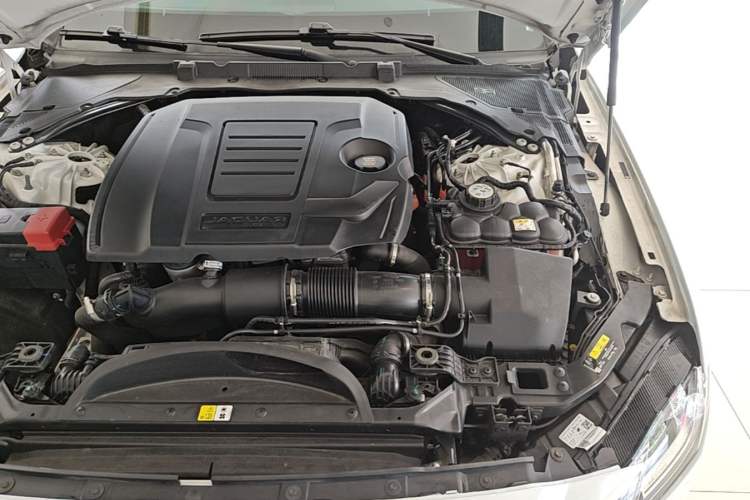 Used Jaguar XFL 2022 XFL 2.0T P250 Two-Wheel-Drive Prestige Luxury Edition Engine Bay Left
