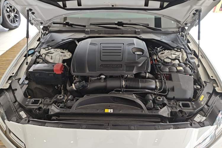 Used Jaguar XFL 2022 XFL 2.0T P250 Two-Wheel-Drive Prestige Luxury Edition Engine Bay