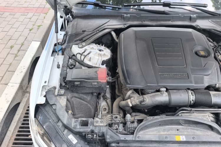 Used Jaguar XFL 2022 XFL 2.0T P250 Two-Wheel-Drive Prestige Luxury Edition Engine Bay Right