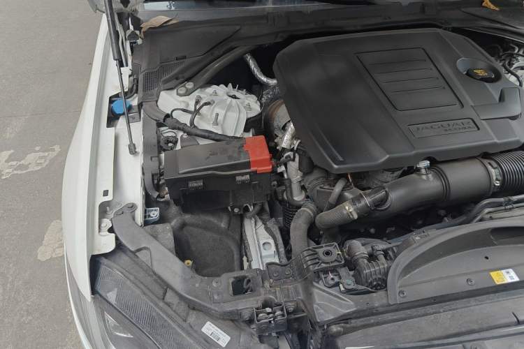 Used Jaguar XFL 2022 XFL 2.0T P250 Two-Wheel-Drive Elite Sport Edition Engine Bay Right