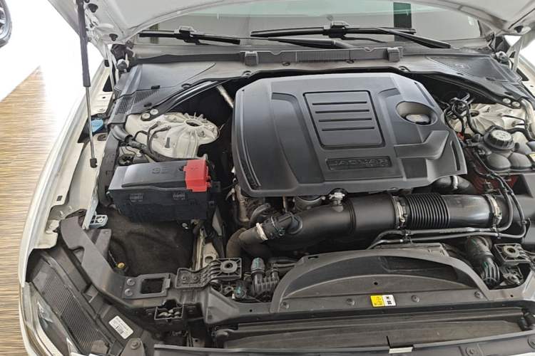 Used Jaguar XFL 2022 XFL 2.0T P250 Two-Wheel-Drive Prestige Luxury Edition Engine Bay Right