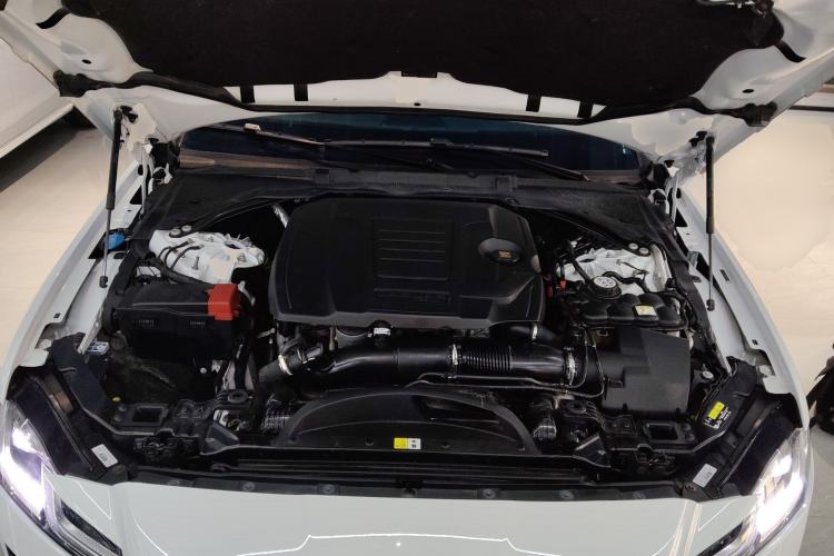 Used Jaguar XFL 2022 XFL 2.0T P250 Two-Wheel-Drive Elite Sport Edition Engine Bay