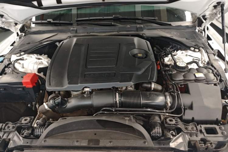 Used Jaguar XFL 2022 XFL 2.0T P250 Two-Wheel-Drive Elite Sport Edition Engine Bay