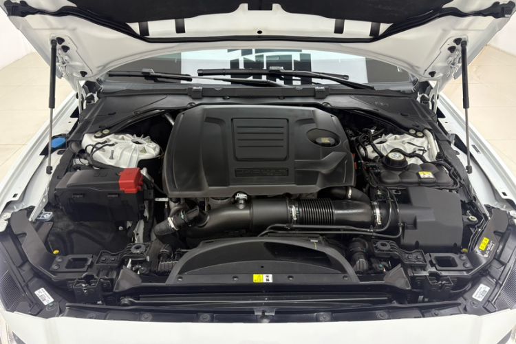 Used Jaguar XFL 2022 XFL 2.0T P250 Two-Wheel-Drive Elite Sport Edition Engine Bay