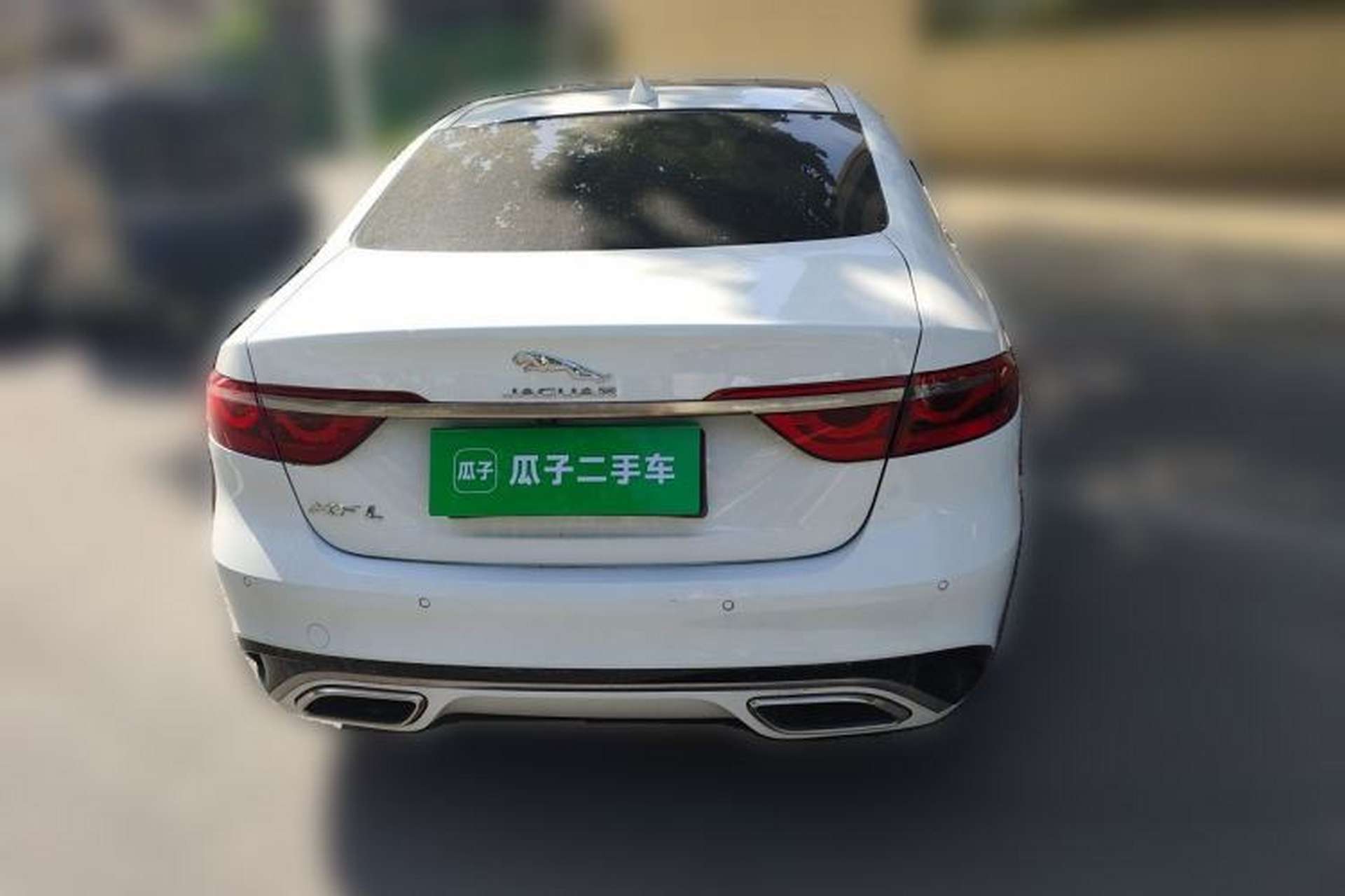 Used Jaguar XFL 2022 XFL 2.0T P250 Two-Wheel-Drive Elite Sport Edition Rear