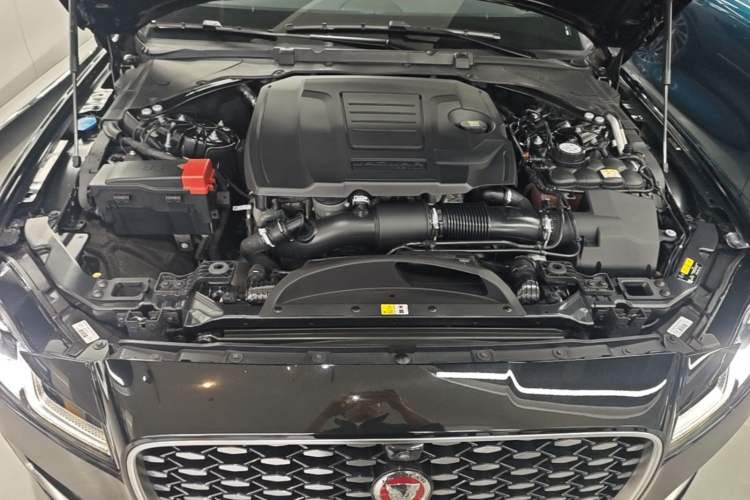 Used Jaguar XFL 2023 XFL 2.0T P250 Two-Wheel-Drive Luxury Deluxe Edition Engine Bay
