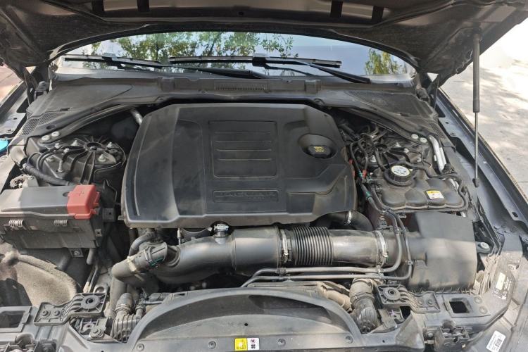 Used Jaguar XFL 2023 XFL 2.0T P250 Two-Wheel-Drive Prestige Luxury Gold Edition Engine Bay