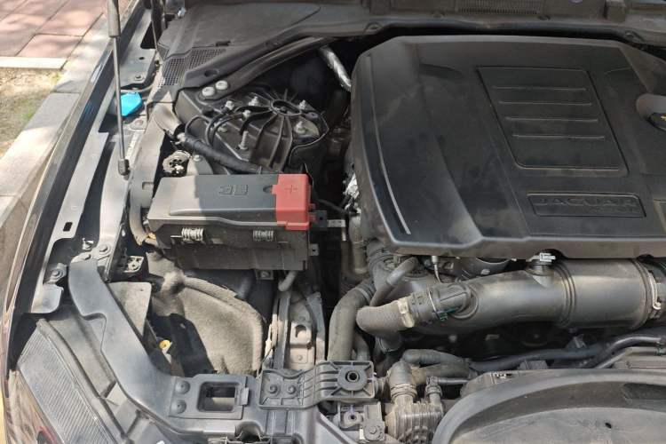 Used Jaguar XFL 2023 XFL 2.0T P250 Two-Wheel-Drive Prestige Luxury Gold Edition Engine Bay Right
