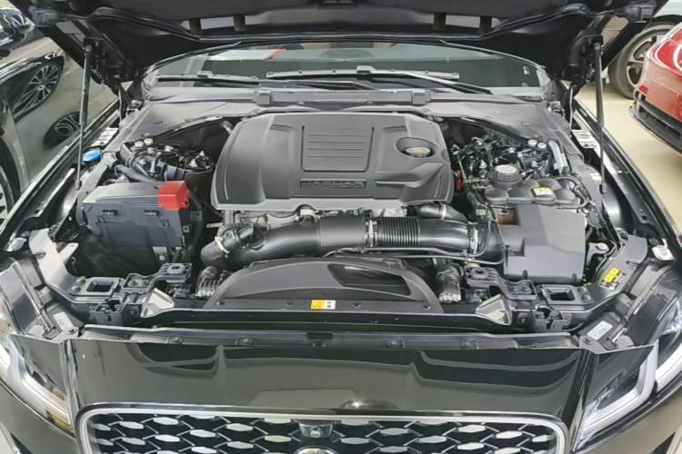 Used Jaguar XFL 2023 XFL 2.0T P250 Two-Wheel-Drive Luxury Deluxe Edition Engine Bay