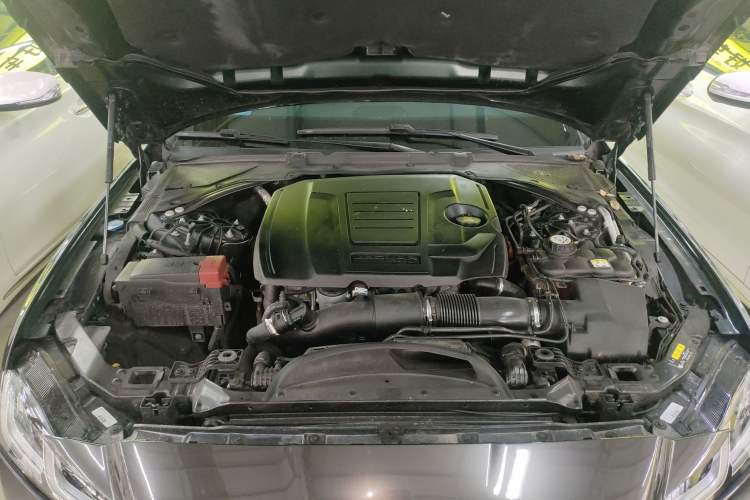 Used Jaguar XFL 2023 XFL 2.0T P250 Two-Wheel-Drive Elite Sport Edition Engine Bay