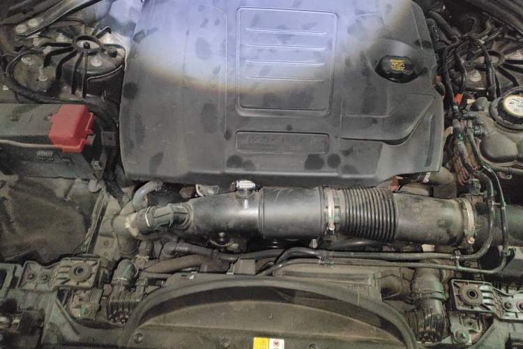 Used Jaguar XFL 2023 XFL 2.0T P250 Two-Wheel-Drive Elite Sport Edition Engine Bay