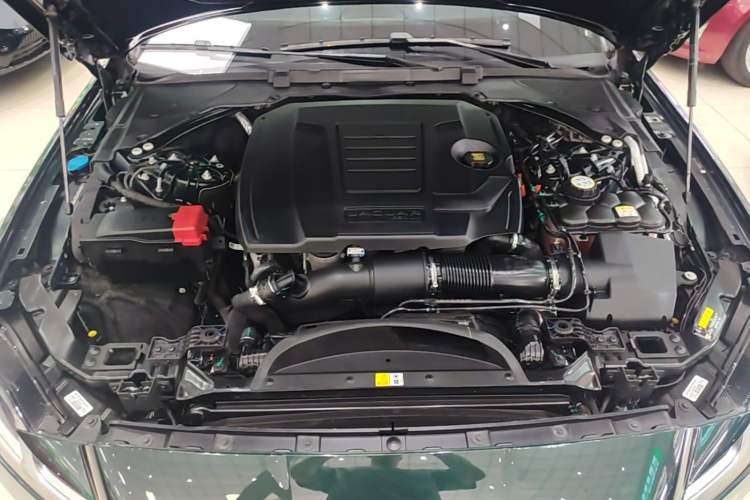 Used Jaguar XFL 2023 XFL 2.0T P250 Two-Wheel-Drive Elite Sport Edition Engine Bay
