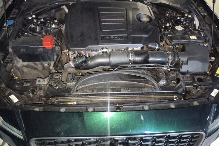 Used Jaguar XFL 2023 XFL 2.0T P250 Two-Wheel-Drive Luxury Deluxe Edition Engine Bay