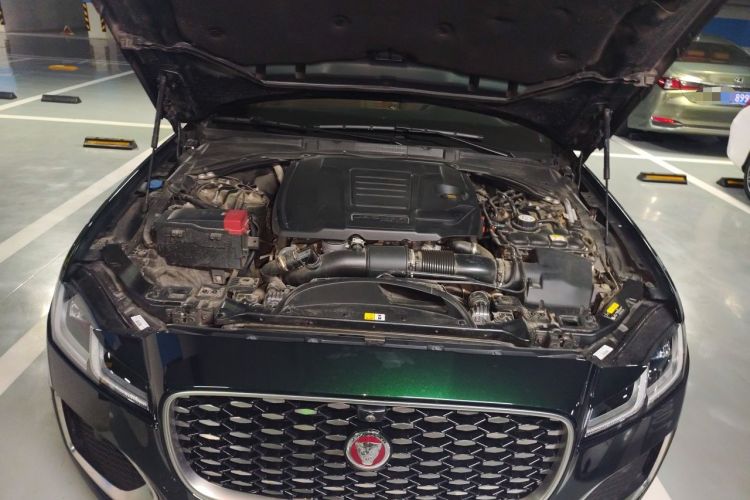 Used Jaguar XFL 2023 XFL 2.0T P250 Two-Wheel-Drive Luxury Deluxe Edition Engine Bay