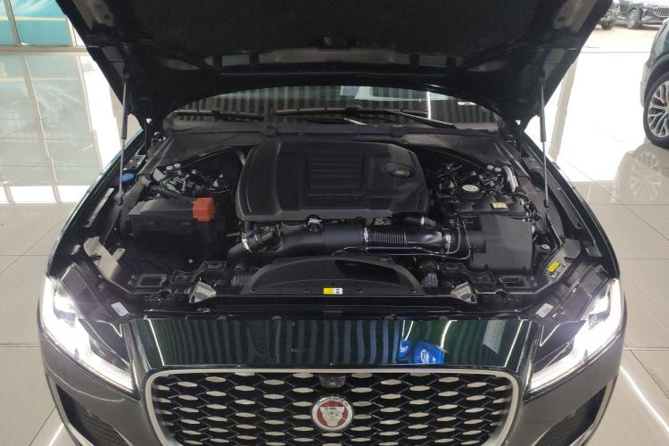 Used Jaguar XFL 2023 XFL 2.0T P200 Two-Wheel-Drive Elite Luxury Edition Engine Bay