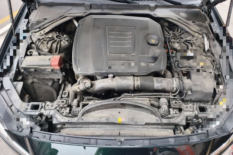 Used Jaguar XFL 2023 XFL 2.0T P300 Four-Wheel-Drive Flagship Sport Edition Engine Bay