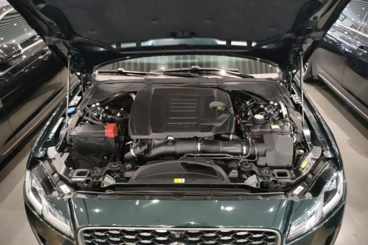 Used Jaguar XFL 2023 XFL 2.0T P250 Two-Wheel-Drive Prestige Luxury Gold Edition Engine Bay