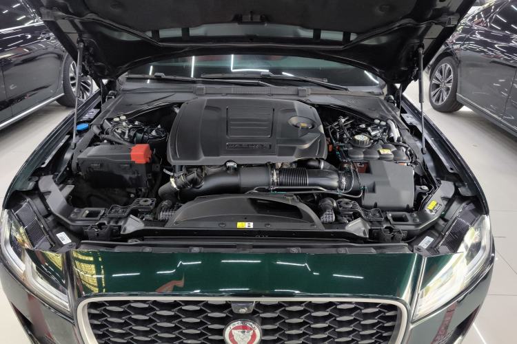 Used Jaguar XFL 2023 XFL 2.0T P250 Two-Wheel-Drive Elite Sport Edition Engine Bay