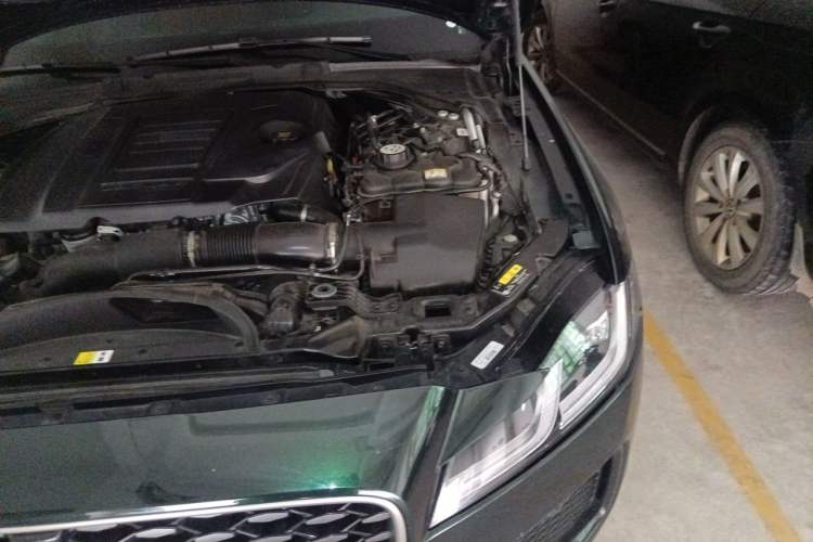 Used Jaguar XFL 2023 XFL 2.0T P250 Two-Wheel-Drive Elite Sport Edition Engine Bay Left