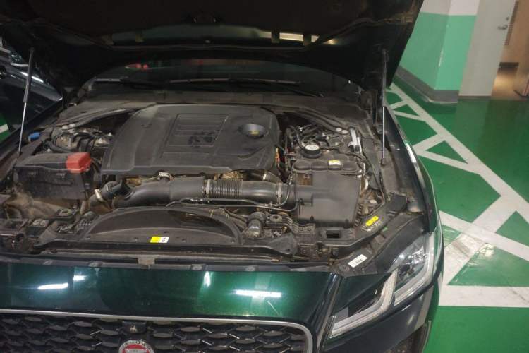 Used Jaguar XFL 2023 XFL 2.0T P250 Two-Wheel-Drive Elite Sport Edition Engine Bay Left