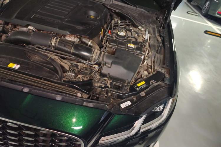 Used Jaguar XFL 2023 XFL 2.0T P250 Two-Wheel-Drive Luxury Deluxe Edition Engine Bay Left
