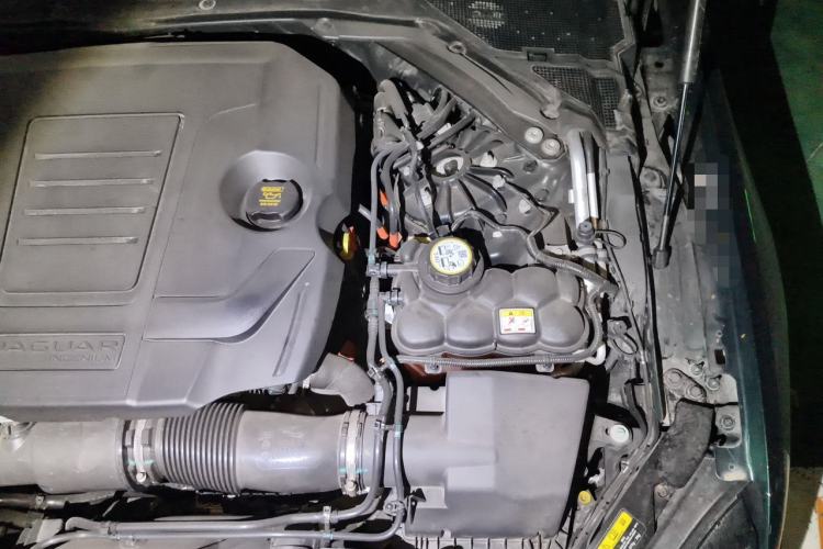 Used Jaguar XFL 2023 XFL 2.0T P250 Two-Wheel-Drive Elite Sport Gold Edition Engine Bay Left