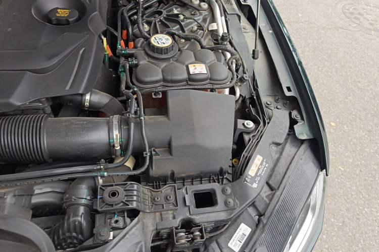 Used Jaguar XFL 2023 XFL 2.0T P250 Two-Wheel-Drive Luxury Deluxe Edition Engine Bay Left