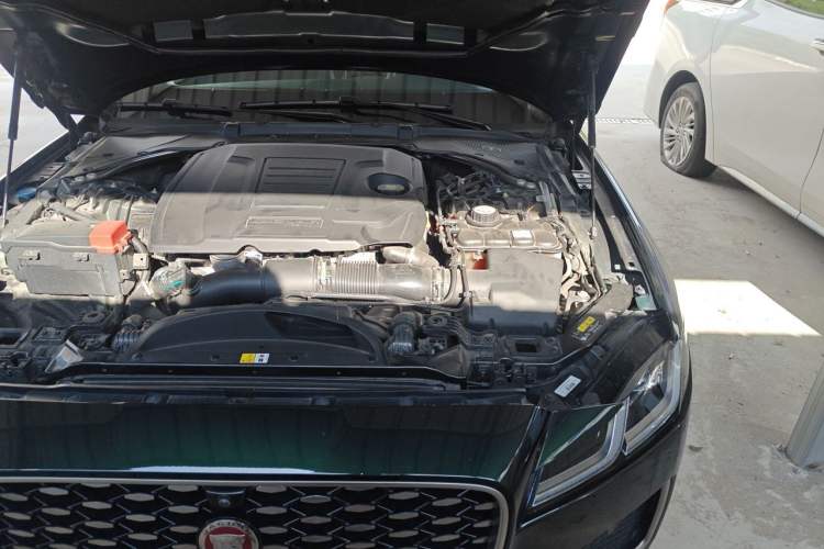 Used Jaguar XFL 2023 XFL 2.0T P250 Two-Wheel-Drive Luxury Deluxe Edition Engine Bay Left