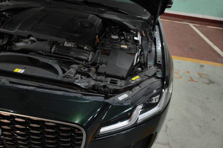 Used Jaguar XFL 2023 XFL 2.0T P250 Two-Wheel-Drive Elite Sport Edition Engine Bay Left
