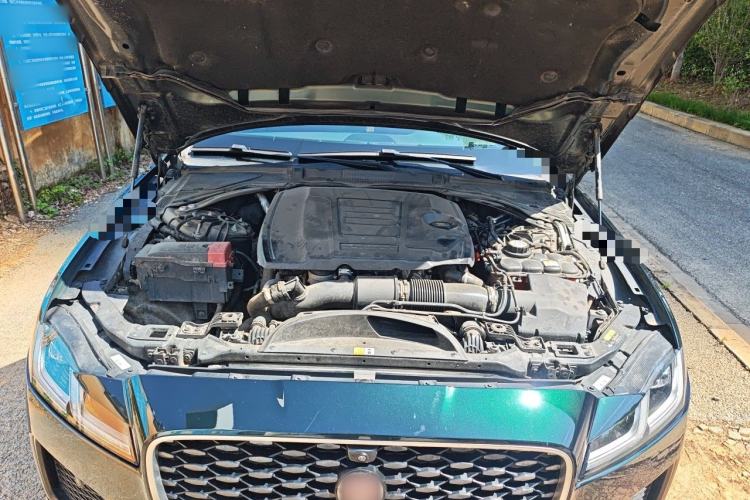 Used Jaguar XFL 2023 XFL 2.0T P300 Four-Wheel-Drive Flagship Sport Edition Engine Bay
