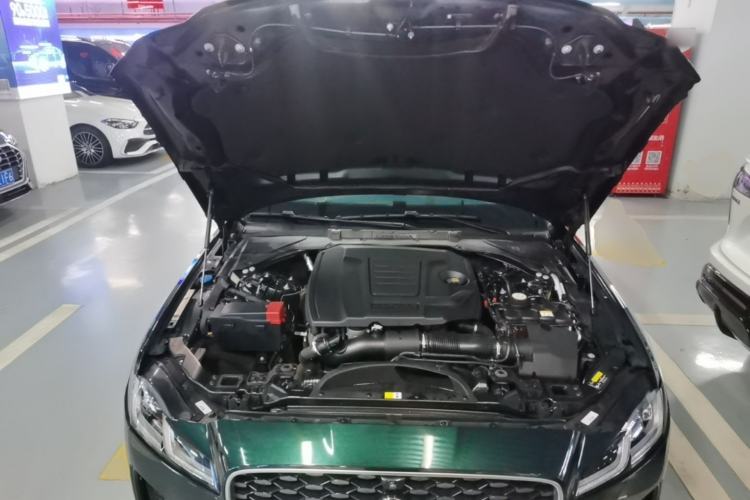 Used Jaguar XFL 2023 XFL 2.0T P250 Two-Wheel-Drive Elite Sport Edition Engine Bay