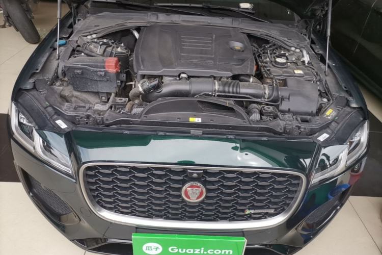 Used Jaguar XFL 2023 XFL 2.0T P250 Two-Wheel-Drive Elite Sport Edition Engine Bay