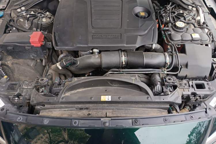 Used Jaguar XFL 2023 XFL 2.0T P250 Two-Wheel-Drive Luxury Deluxe Edition Engine Bay