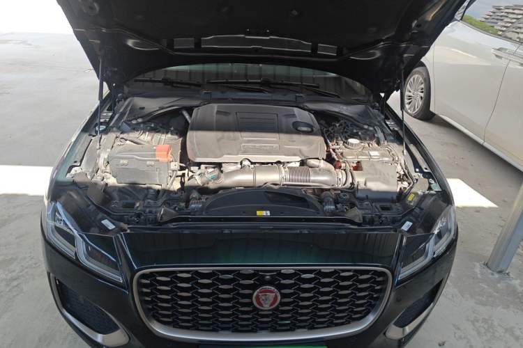 Used Jaguar XFL 2023 XFL 2.0T P250 Two-Wheel-Drive Luxury Deluxe Edition Engine Bay