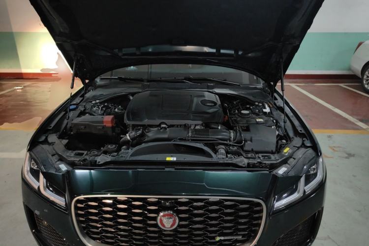 Used Jaguar XFL 2023 XFL 2.0T P250 Two-Wheel-Drive Elite Sport Edition Engine Bay
