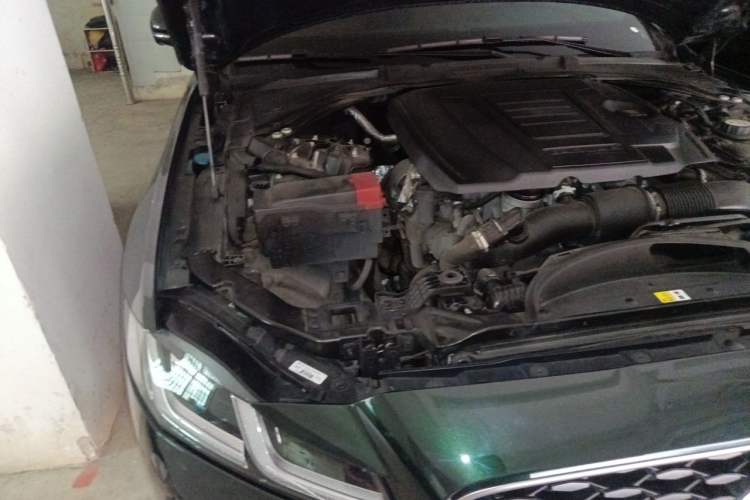 Used Jaguar XFL 2023 XFL 2.0T P250 Two-Wheel-Drive Elite Sport Edition Engine Bay Right