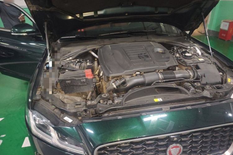 Used Jaguar XFL 2023 XFL 2.0T P250 Two-Wheel-Drive Elite Sport Edition Engine Bay Right