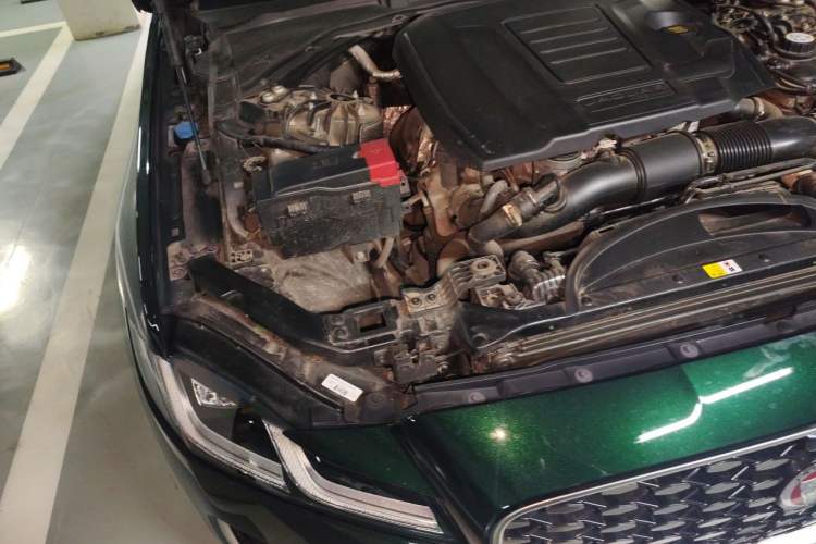 Used Jaguar XFL 2023 XFL 2.0T P250 Two-Wheel-Drive Luxury Deluxe Edition Engine Bay Right